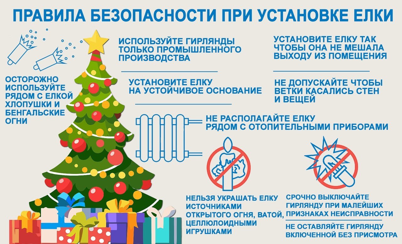 photo 2025 12 05 14 24 52